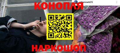 мдпв Краснознаменск