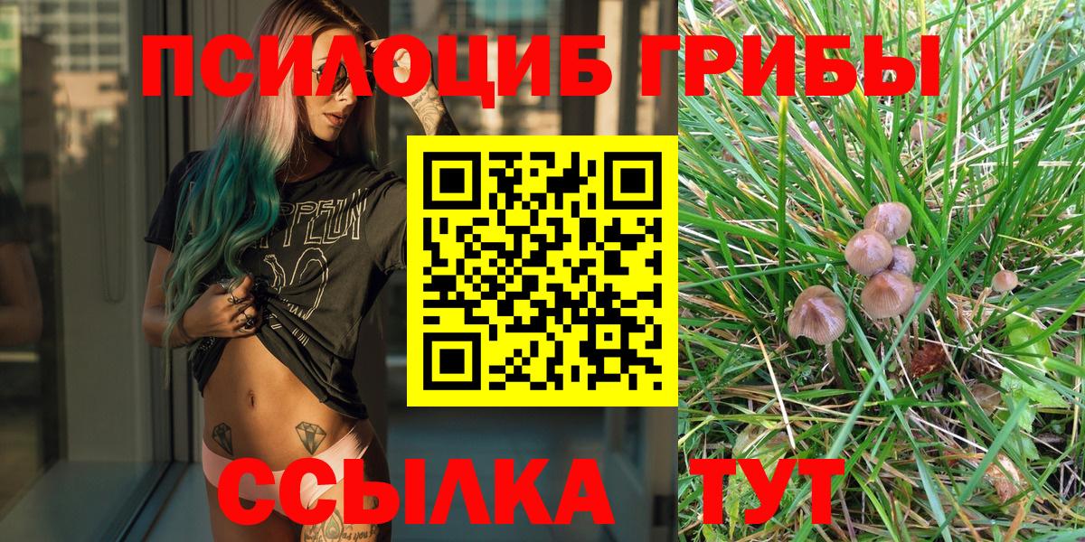 Псилоцибиновые грибы Cubensis  Псилоцибиновые грибы Cubensis  Красноармейск  Вход с VPN 